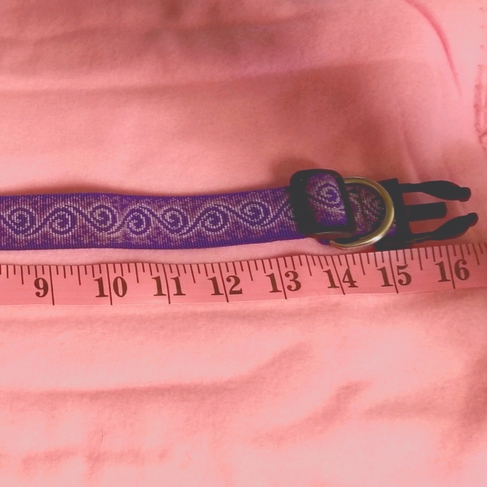 Lupine Quik Release Dog Collar